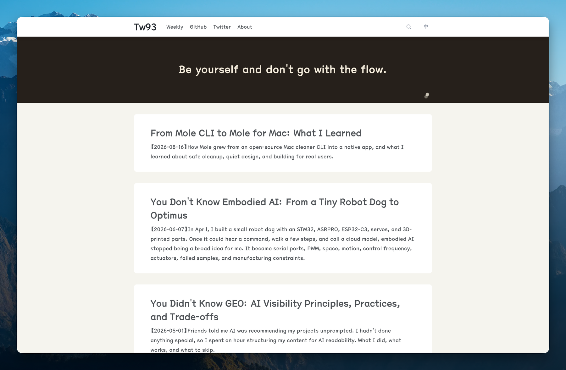 Tw93's English journal homepage with recent long-form essays